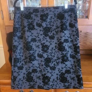 Ann Taylor Pencil Skirt